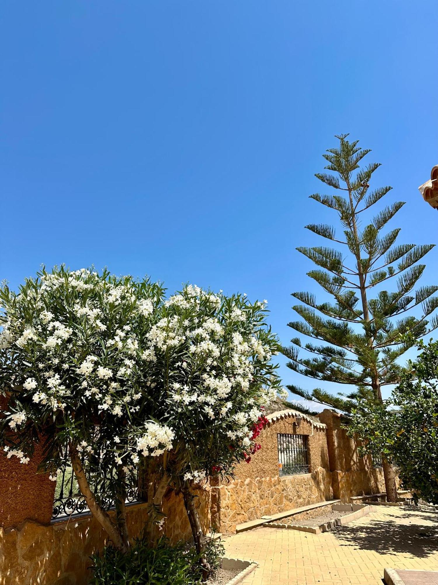 Casa Rural El Pomelo Zurgena Exteriör bild